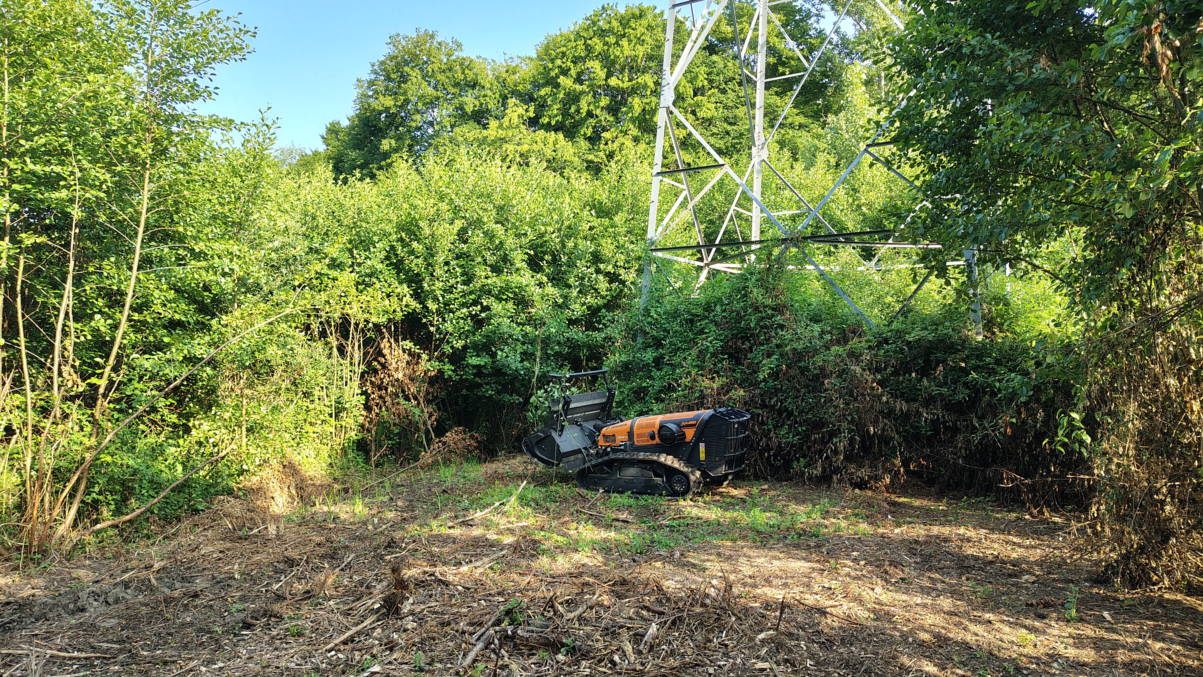 Broyage et Débroussaillage